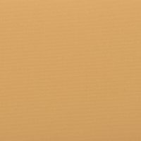80180532 - Mostaza