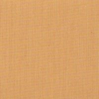 80180533 - Palm