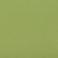 80180548 - Peridot